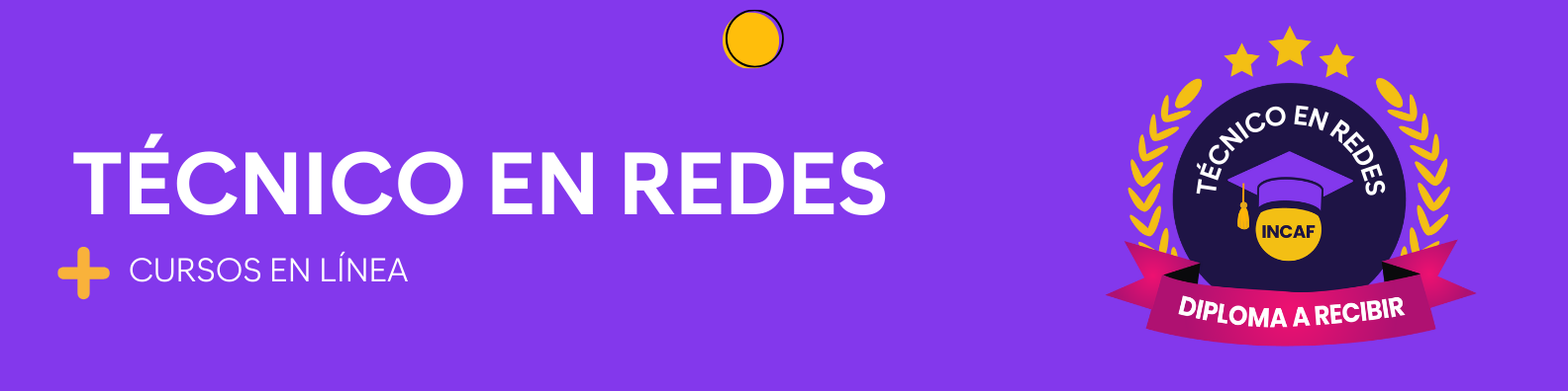 Técnico en redes