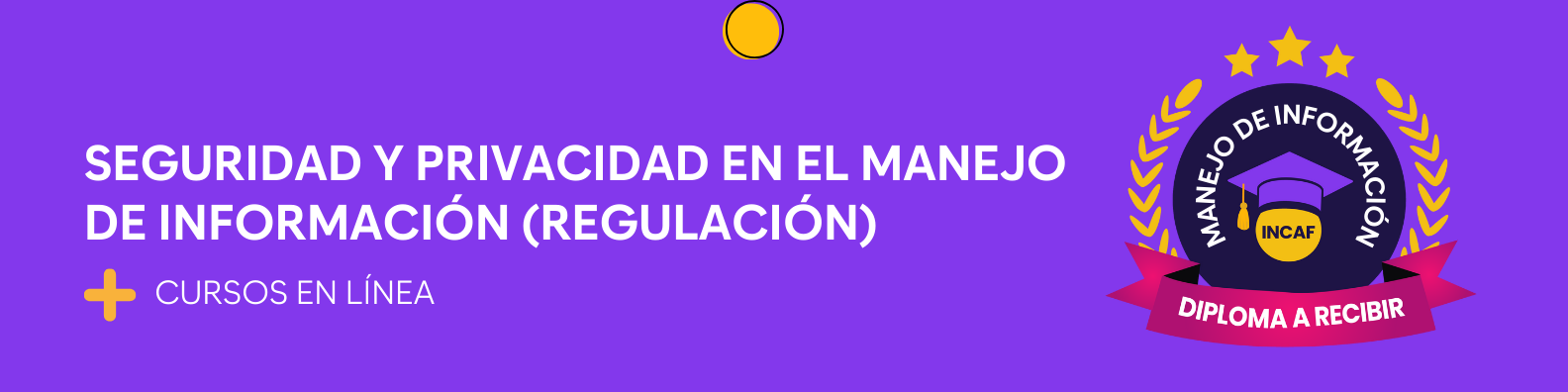 Seguridad y privacidad en el manejo de información (Regulación)