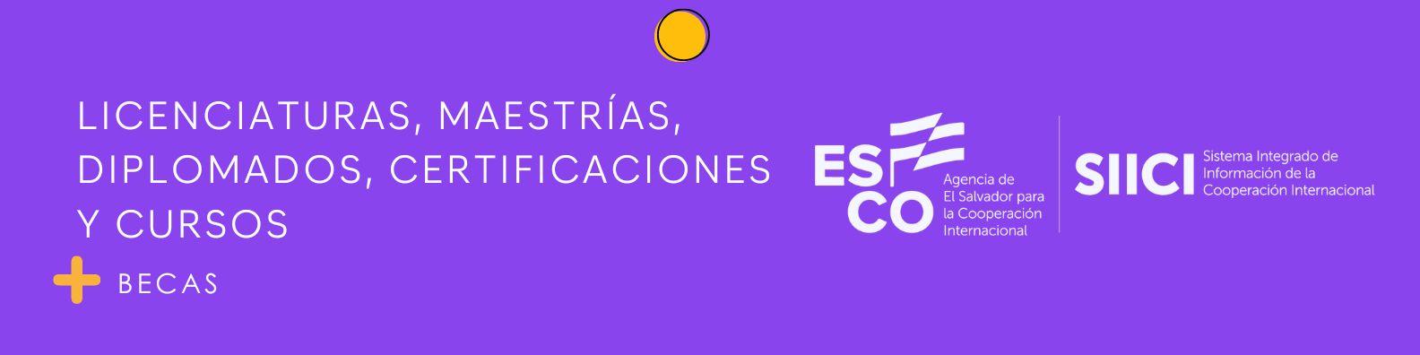 Becas Nacionales e Internacionales para Licenciaturas, Maestrías, Diplomados, Certificaciones y Cursos