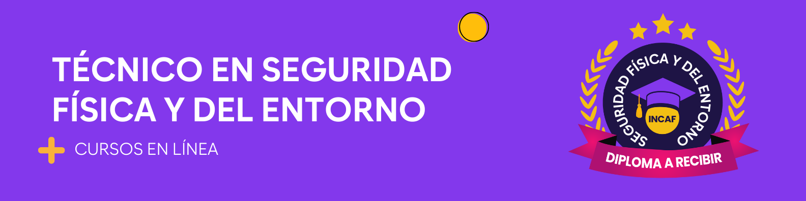 Técnico en seguridad física y del entorno