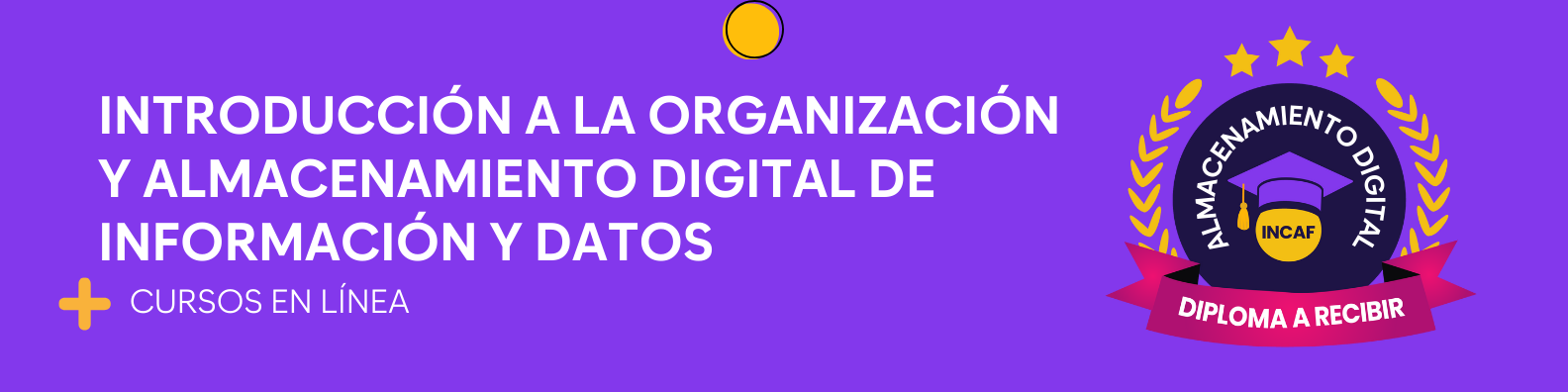 Introducción a la organización y almacenamiento digital de información y datos